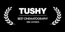 TUSHY awarded scenes on Vixen Plus