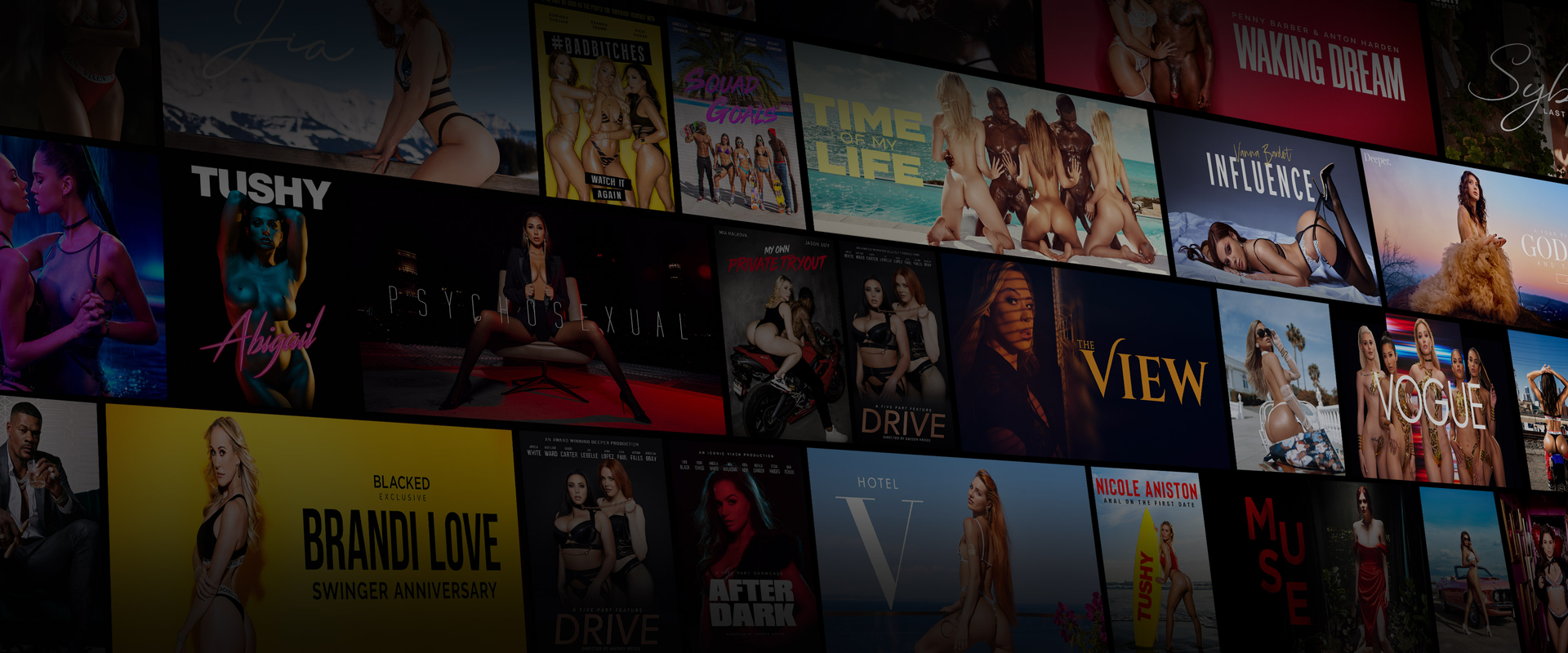 All subscriptions you need on Vixen Plus